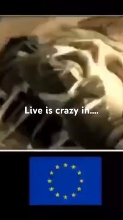 Cringe :3