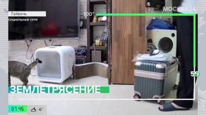 Новости мира: землетрясение магнитудой 6,0 зафиксировано на Тайване