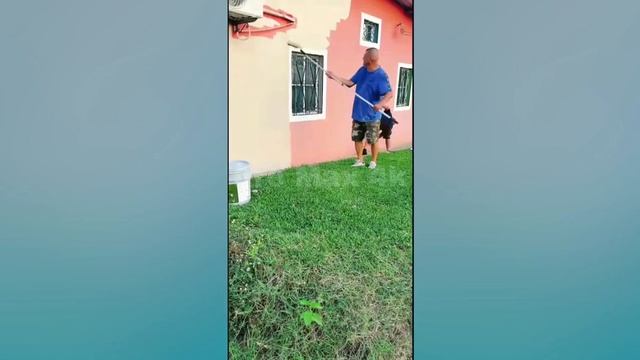 Se acabo la casita rojita y los comentar¡os se ponen buenos dicen que era el p¡sadera4k смотреть онлайн