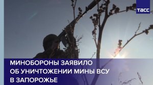 Минобороны заявило об уничтожении мины ВСУ в Запорожье