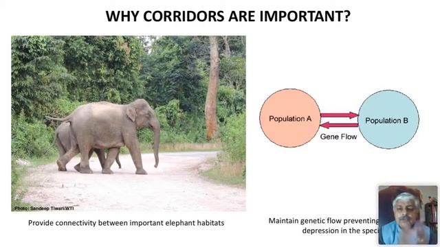 Let's Talk Elephants: A tête-à-tête with Vivek Menon смотреть онлайн