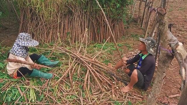 wb mus txiav kav qos yuav pib cos lawm/24/4/2022 смотреть онлайн