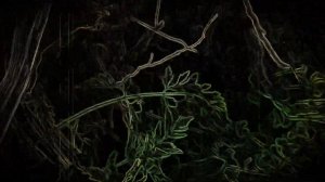 GREZKA Drum (DISORDER)