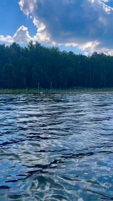 Плывет ближе не подпускает 2024 beautiful озеро russia lake природа youtubeshorts лето