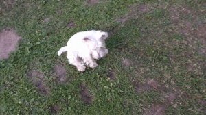 Металлоискатель Урок для начинающего поисковика. Полезная информация