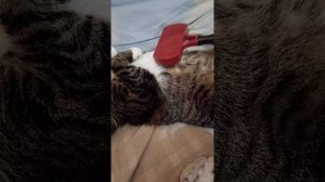 1000016613.mp4