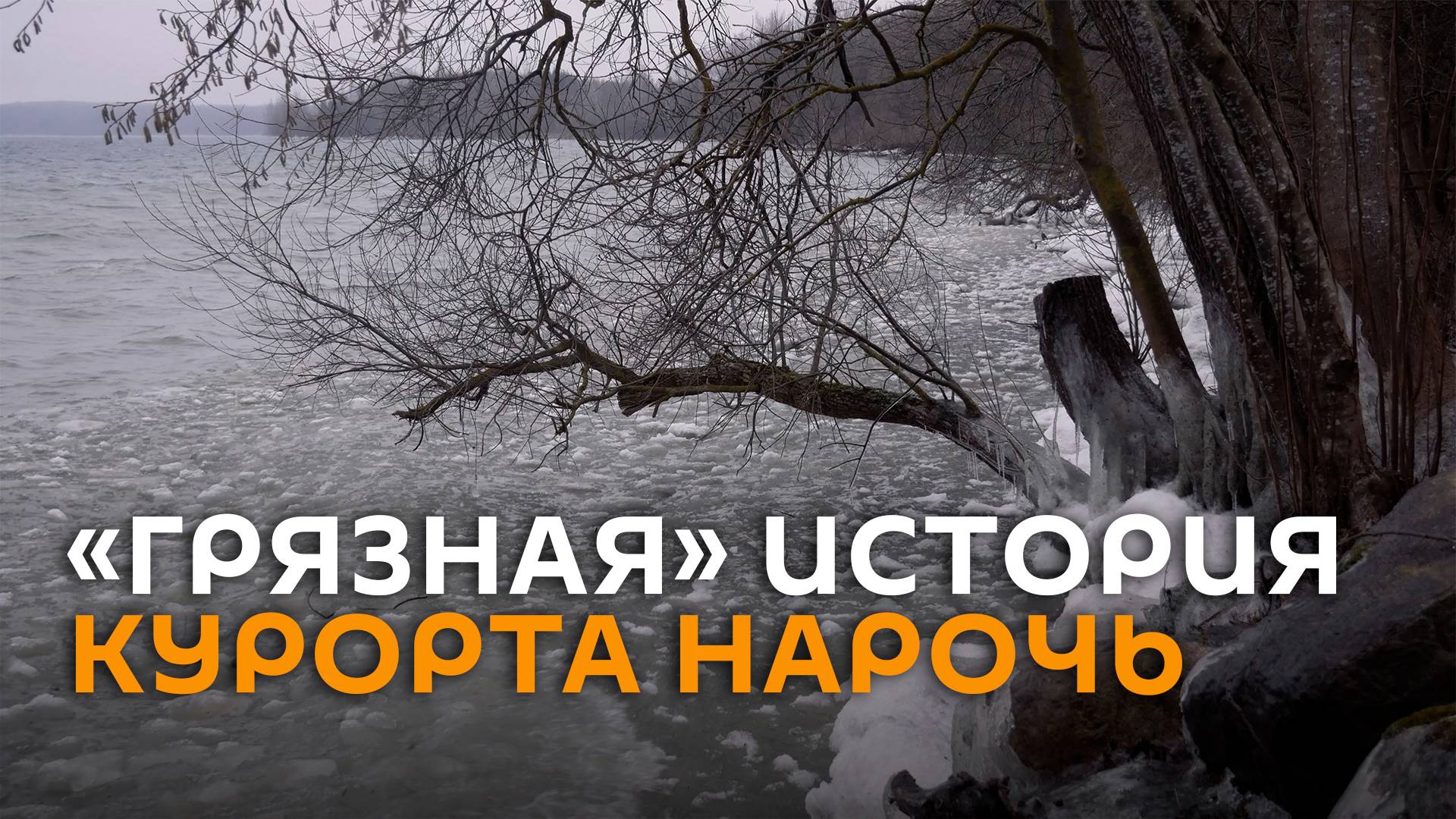 История «с душком» курорта Нарочь: кто загрязняет природный заповедник?