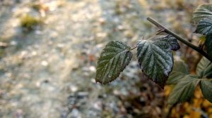 5994175-uhd_4096_2160_25fps