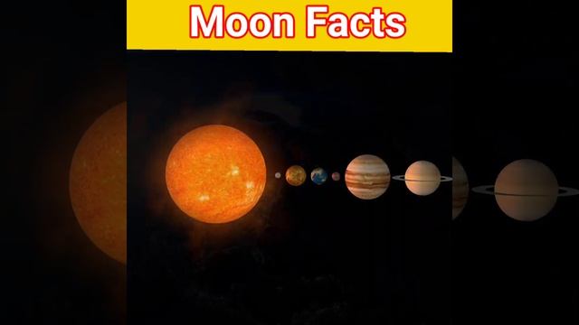 Moon facts about #facts #shorts #knowledge #daily