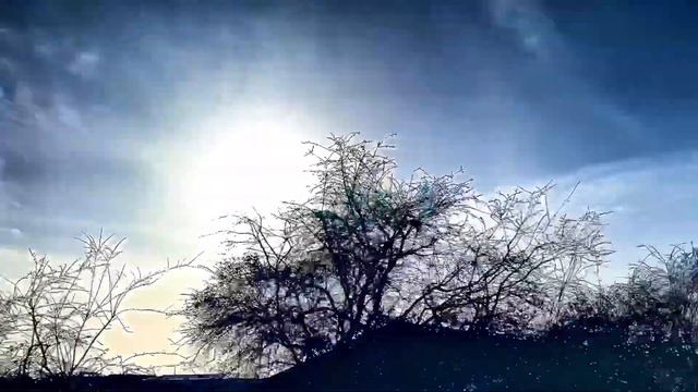 Invisibility shield? Transparent Stripes 🤔 Tuesday 16th February 2021. PXH смотреть онлайн