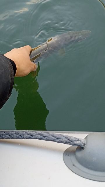 домой смотреть онлайн