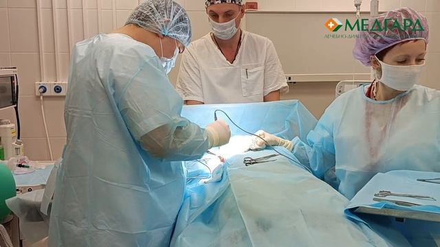 🌟 Важно начать с обследования! Медгард с вами на этом пути! смотреть онлайн