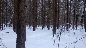 Памятка начинающему туристу. Самое важное правило в походе Что такое туристы, взгляд изнутри.