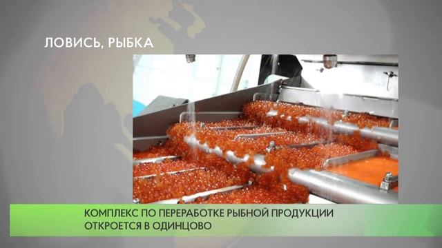 Ловись, рыбка смотреть онлайн