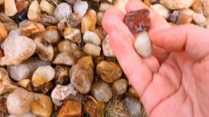 Показываю мою кварцевую горочку. Всё время говорю о ней, вы просили показать- горка маленькая пока