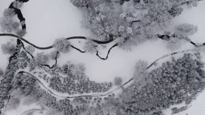 6470151-uhd_3840_2160_25fps