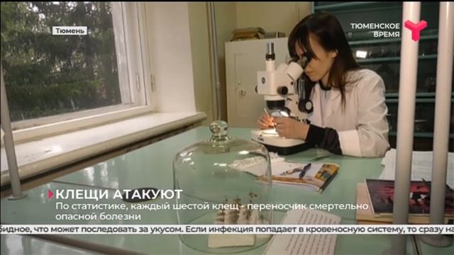 С укусами клещей к медикам обратились более 8 000 жителей Тюменской области смотреть онлайн