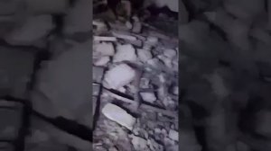 Мариуполь. Волгодонская, 15