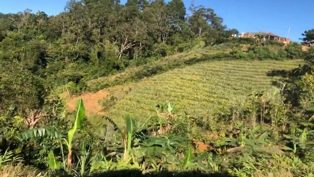 Куба Cuba дома по дороге смотреть онлайн