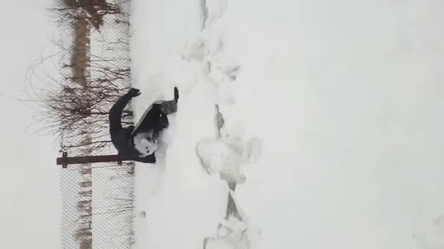 Как сломать себе ногу за 20 сек. смотреть онлайн