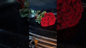 Новая цыганская музыка 🎶 TARZAN