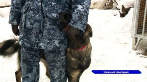 Профессиональный праздник отмечают сотрудники управления по конвоированию