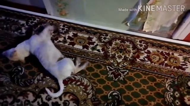 Вода в уши попала смотреть онлайн