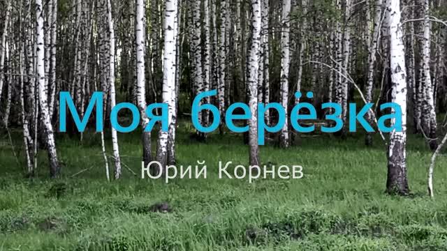 Юрий Корнев авторская песня,,Моя берёзка,,