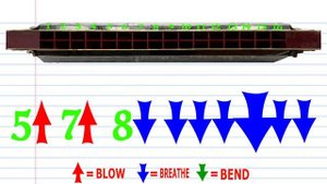 How to Play Baby Shark on a Tremolo Harmonica with 16 Holes