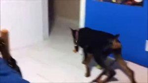 Угар Вы так не смялись . Самые смешные крики