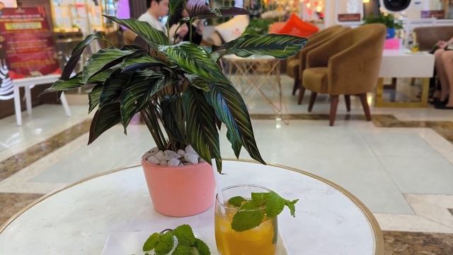 Asteria Comodo Nha Trang Hotel, Нячанг, Вьетнам обзор отеля Астерия Комодо. Набережная и Рестораны