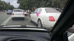 Самый спокойный свадебный кортеж в Махачкале