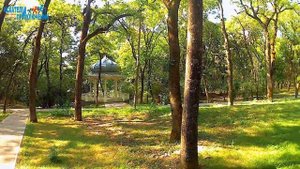 Прогулка по курортному парку. Ессентуки