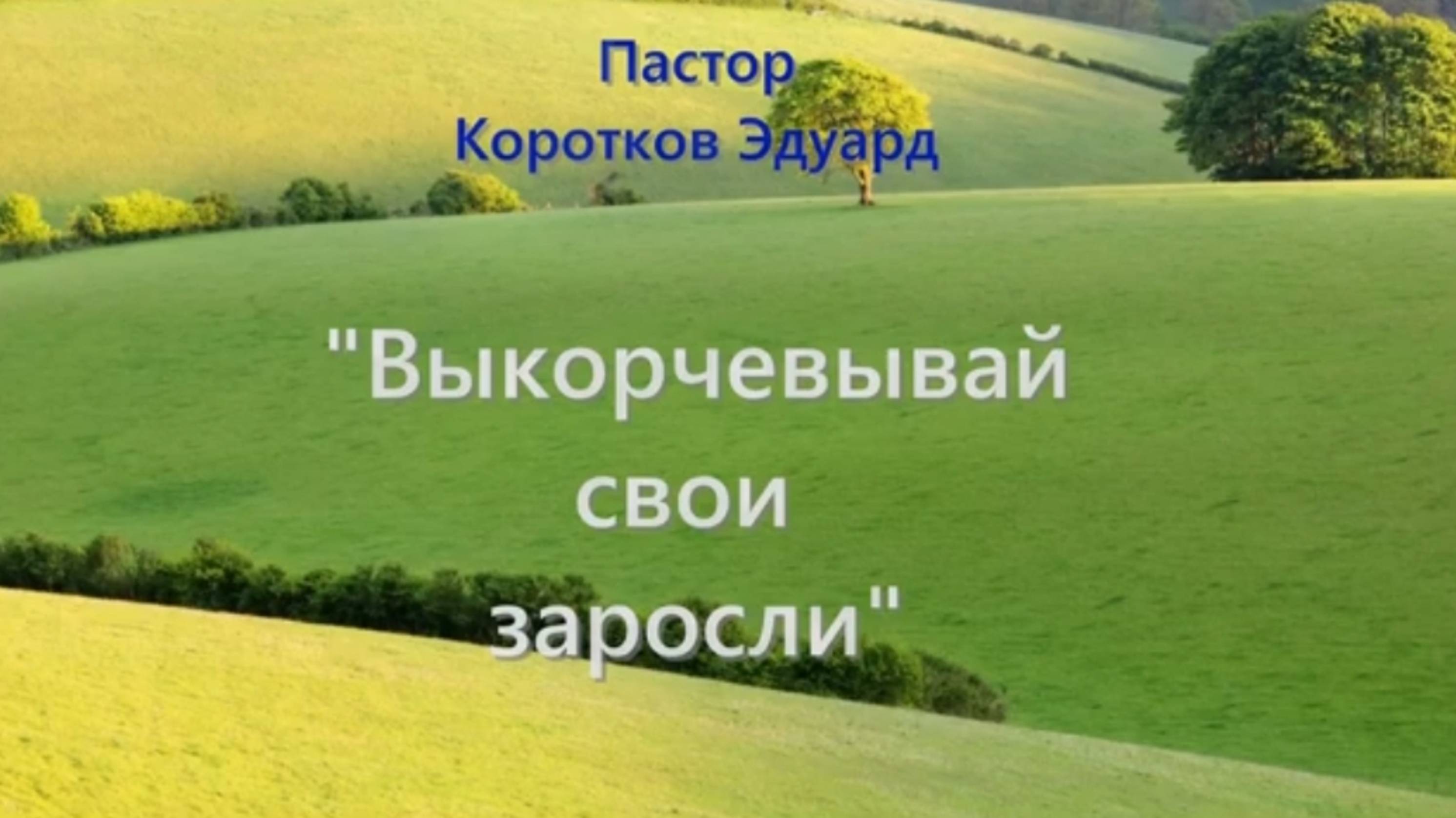 "Выкорчевывай свои заросли"
Э. Коротков