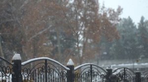 6415281-hd_1920_1080_25fps