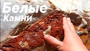 Часть-2 Окаменелое мясо? Разбираем камни в каньоне. Спрятала кальцитного ëжика. Чем уникален кремень