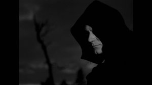 Крики бабочек - Серый ангел (2024)