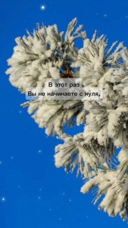 Один мудрец сказал: «Не бойтесь начать всё сначала, в этот раз вы не начинаете с нуля, вы начинаете