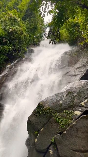 Водопад. Пхукет смотреть онлайн