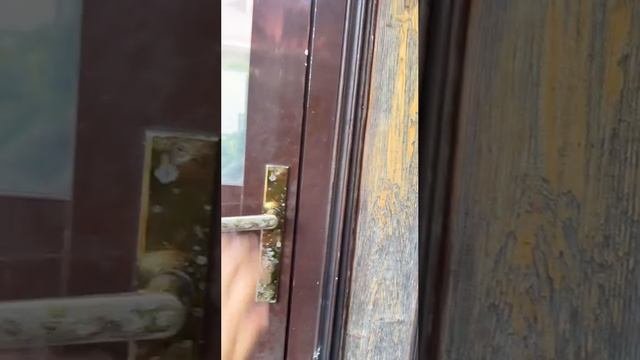 Благоустройство участков, ландшафтный дизайн