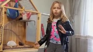 гамаки из носков для крыс