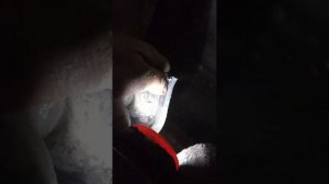 как убрать течь масла с сальника выбора скоростей ВАЗ 2108-21015