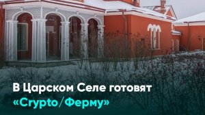 В Царском Селе готовят «Crypto/Ферму»