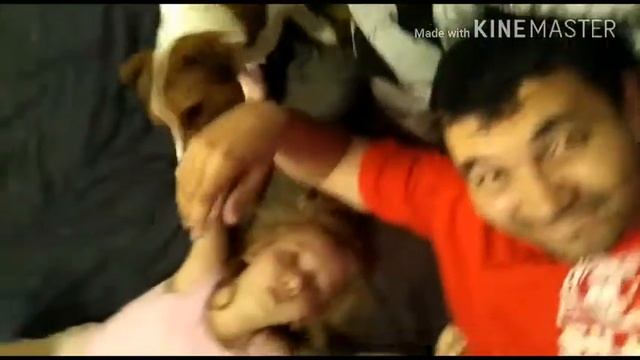 Чаки любит Полинку это любовь )) смотреть онлайн