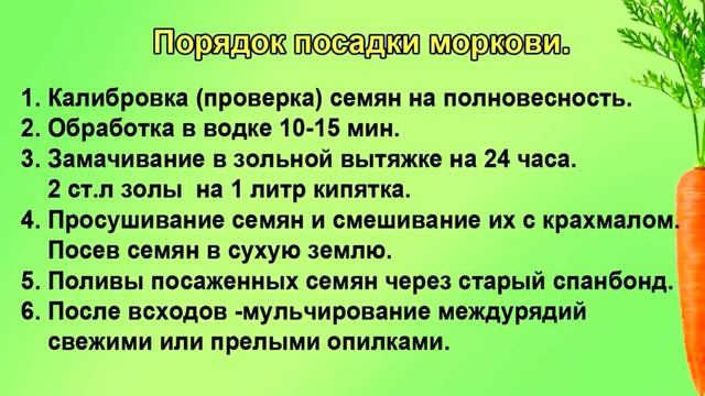 Мой способ посева любой зелени, моркови и т.д.