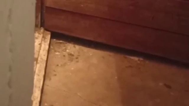 иногда нужно прятаться. смотреть онлайн