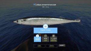 Русская рыбалка 4-Редкий трофей-сайра атлантическая