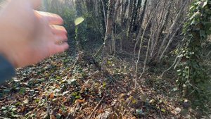 Участок 5,4 сотки