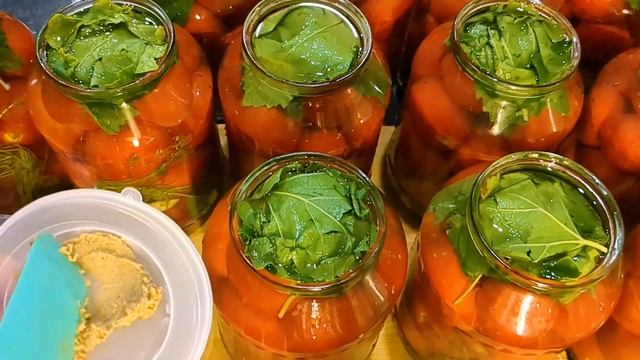Квашеные помидоры как бочковые!  БЕЗ Уксуса и Стерилизации! Помидоры на зиму хранятся в квартире!