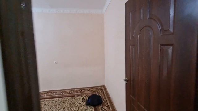 Урганч.ш 1 каватда 4 хонали кв сотилади.Нархи/420 млн сум.Мулжал/ Хоразм балик.☎️(88) 601 70 70 смотреть онлайн